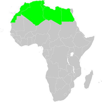 North Africa